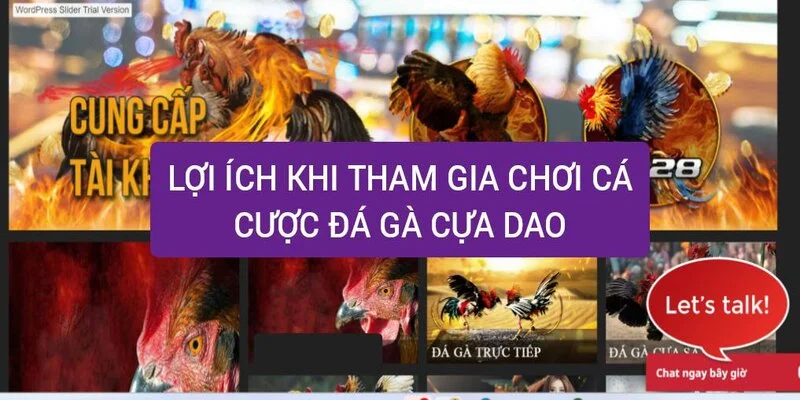 Lợi ích người chơi nhận được khi tham gia ở hello88